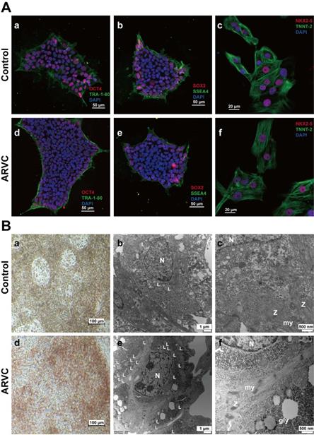 Theranostics Image