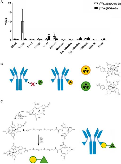 Theranostics Image