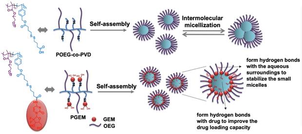 Theranostics Image