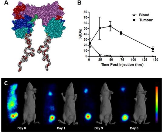 Theranostics Image