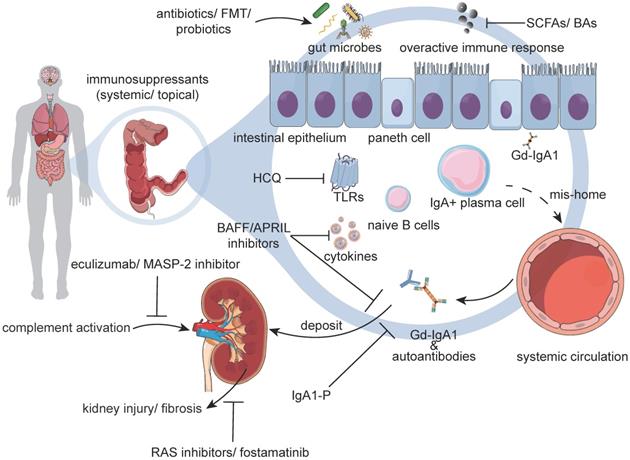 Theranostics Image