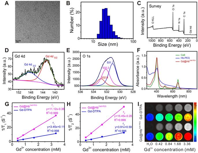 Theranostics Image