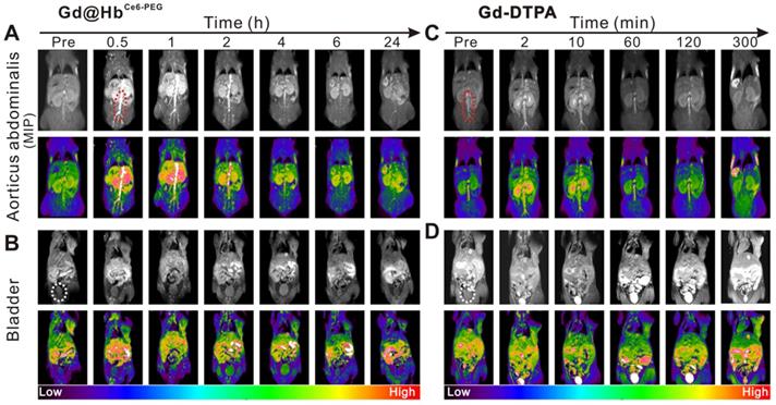 Theranostics Image