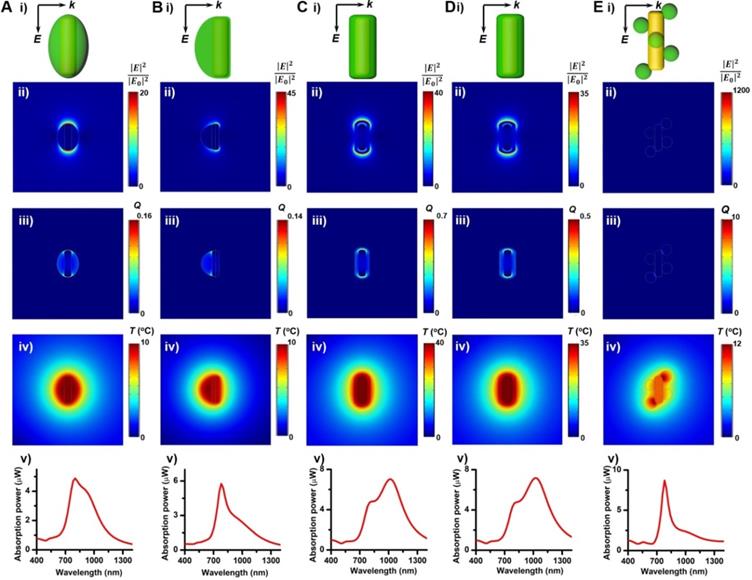 Theranostics Image