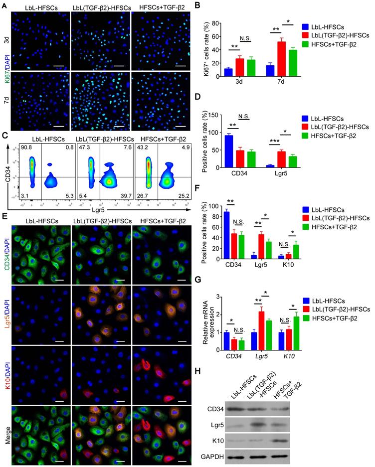 Theranostics Image