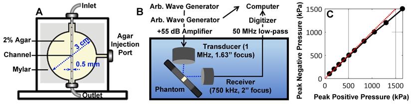 Theranostics Image