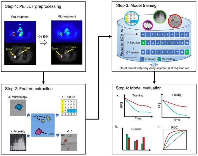 Theranostics Image