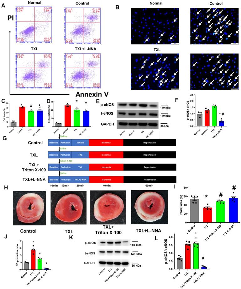 Theranostics Image