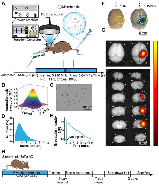 Theranostics Image