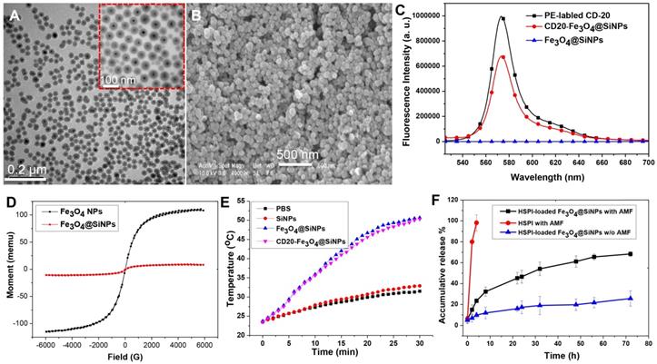 Theranostics Image