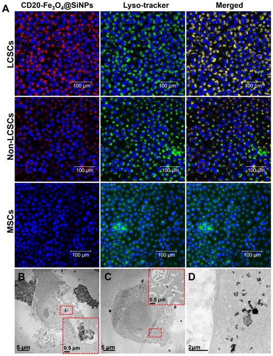 Theranostics Image