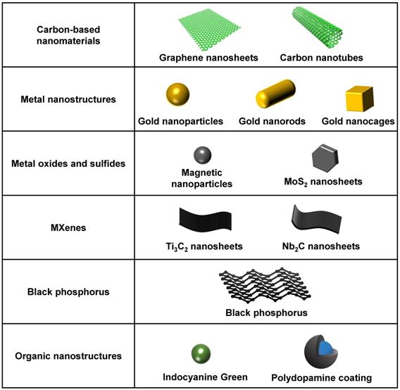 Theranostics Image