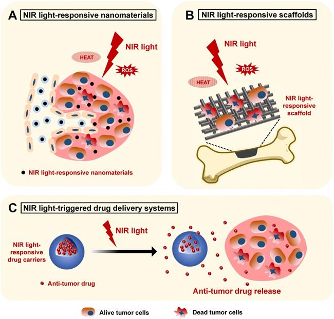 Theranostics Image