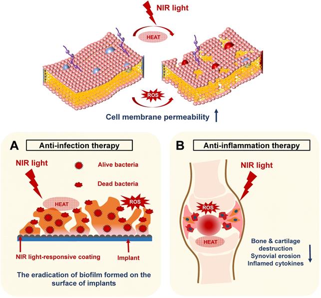 Theranostics Image