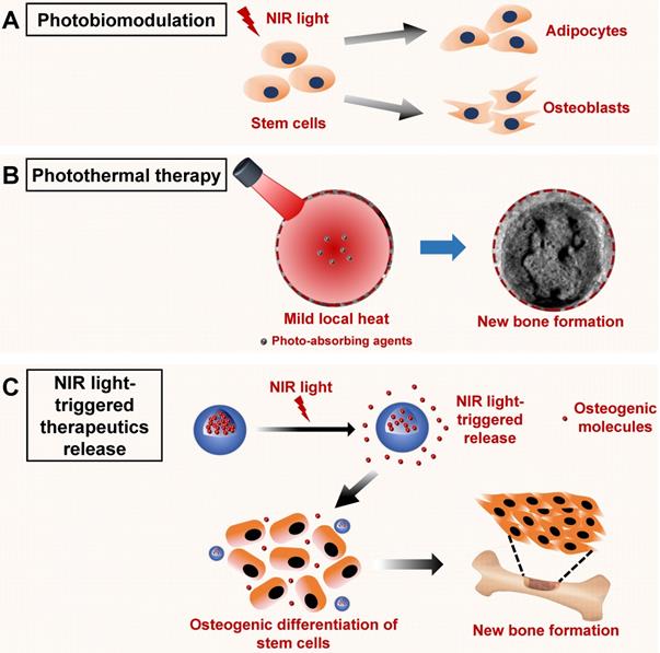 Theranostics Image