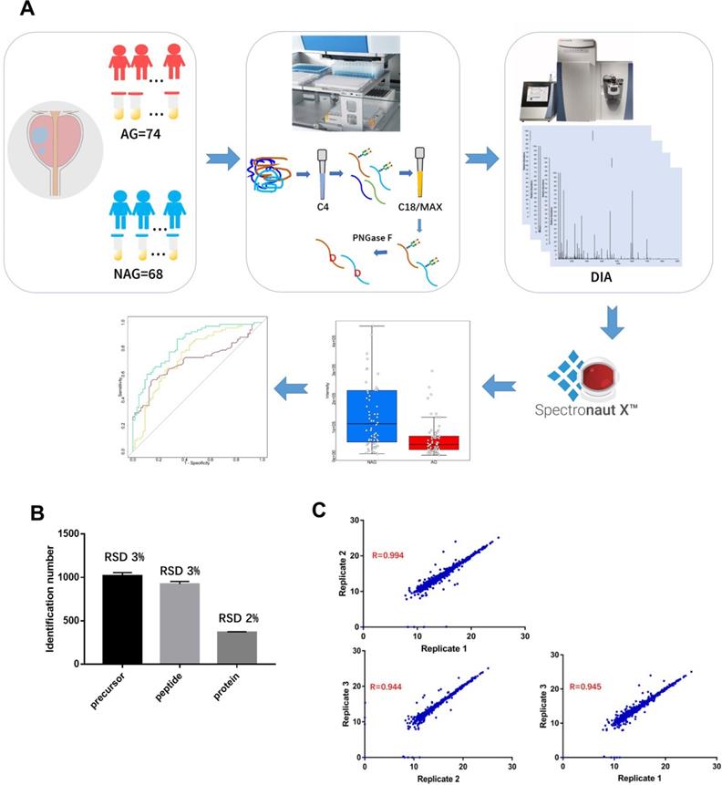 Theranostics Image