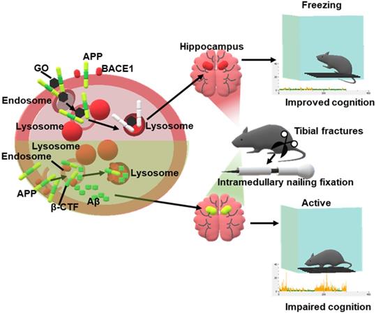 Theranostics Image