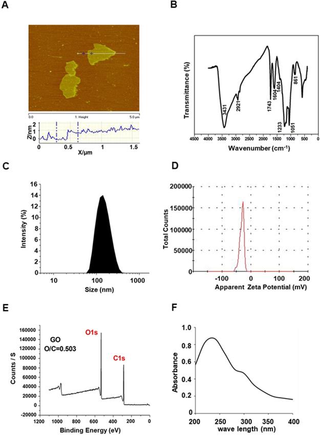 Theranostics Image