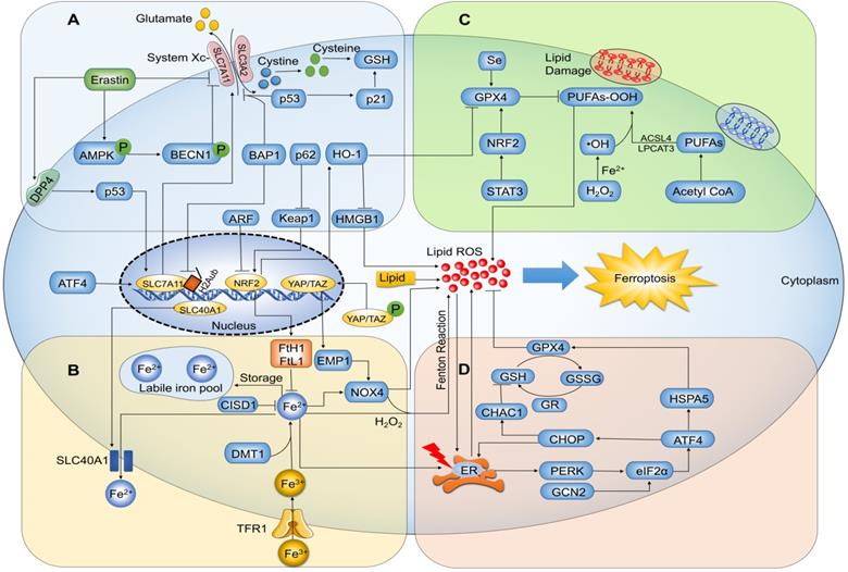 Theranostics Image