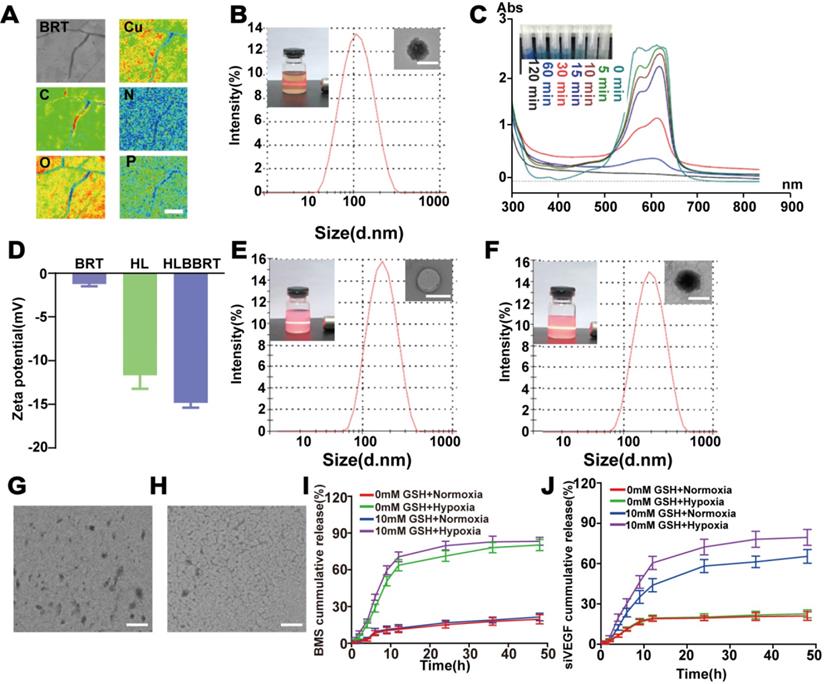 Theranostics Image