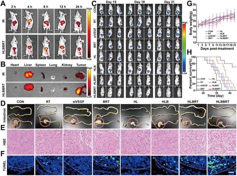 Theranostics Image