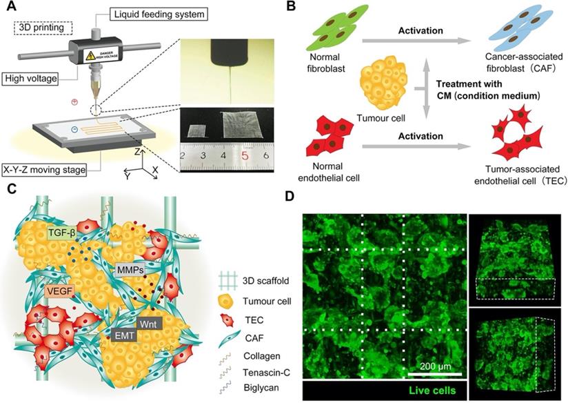 Theranostics Image