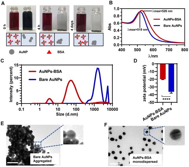 Theranostics Image