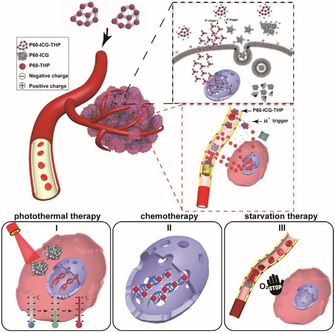 Theranostics Image