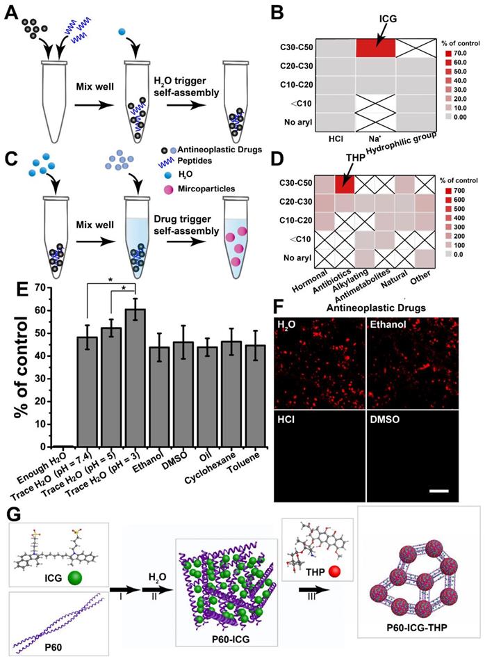 Theranostics Image