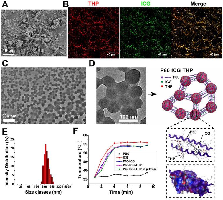 Theranostics Image