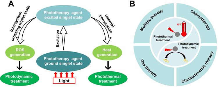 Theranostics Image