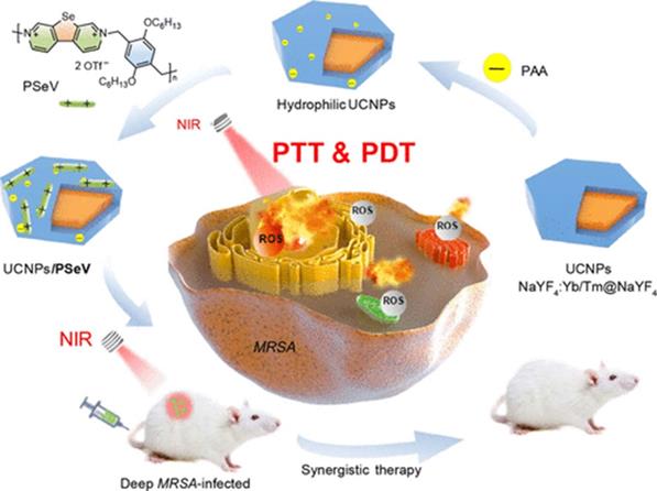 Theranostics Image