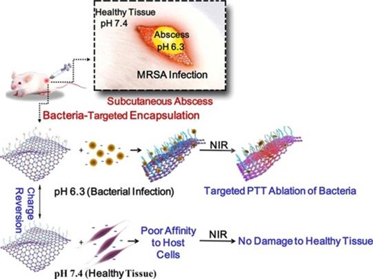 Theranostics Image