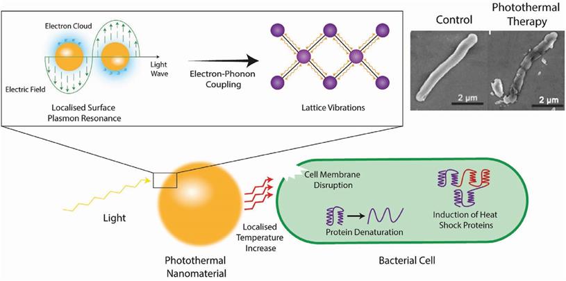 Theranostics Image