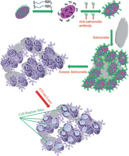 Theranostics Image