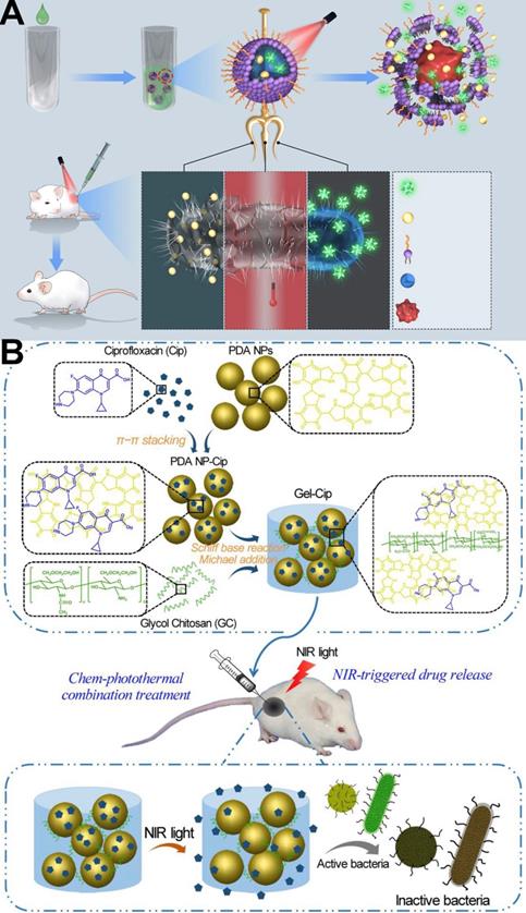 Theranostics Image