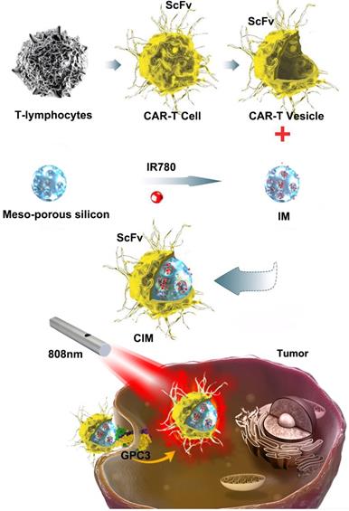 Theranostics Image