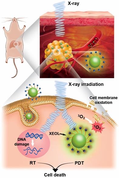 Theranostics Image