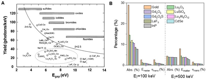 Theranostics Image