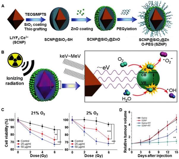 Theranostics Image