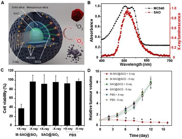 Theranostics Image