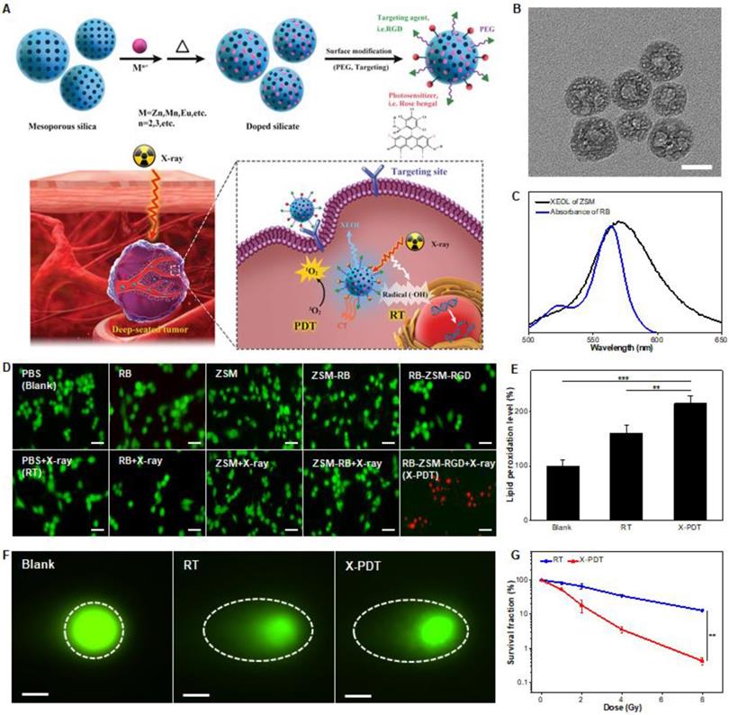 Theranostics Image