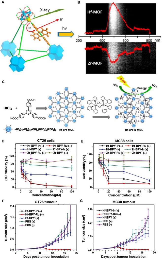 Theranostics Image