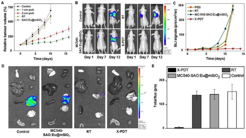 Theranostics Image