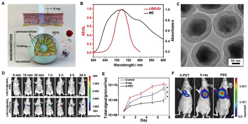 Theranostics Image