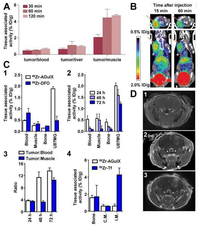 Theranostics Image