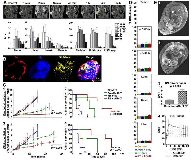 Theranostics Image