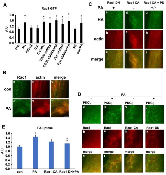 Theranostics Image