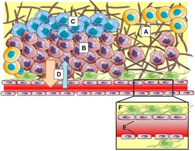 Theranostics Image