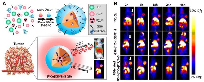 Theranostics Image